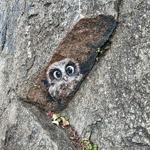 Meet your Posher, M.